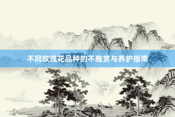 不同玫瑰花品种的不雅赏与养护指南
