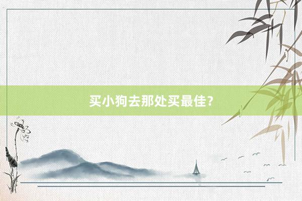 买小狗去那处买最佳?